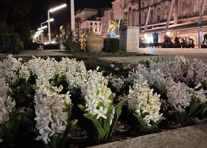 旅馆 Habibi Tu Silver Gate Diocletians Palac 斯普利特