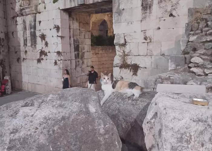 Hostel Habibi Tu Silver Gate Diocletians Palac Split