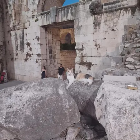 Auberge de jeunesse Habibi Tu Silver Gate Diocletians Palac Split