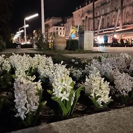 Auberge de jeunesse Habibi Tu Silver Gate Diocletians Palac Split